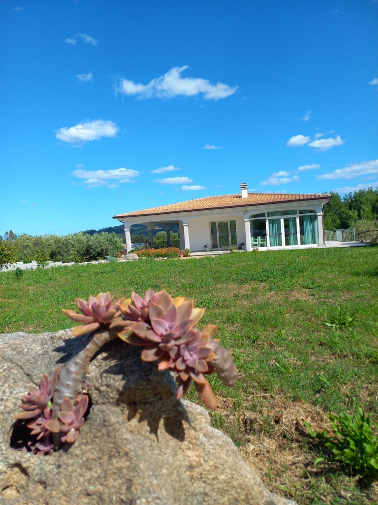 Agriturismo B&B Mares E Montes De Marrante Siniscola Bagian luar foto