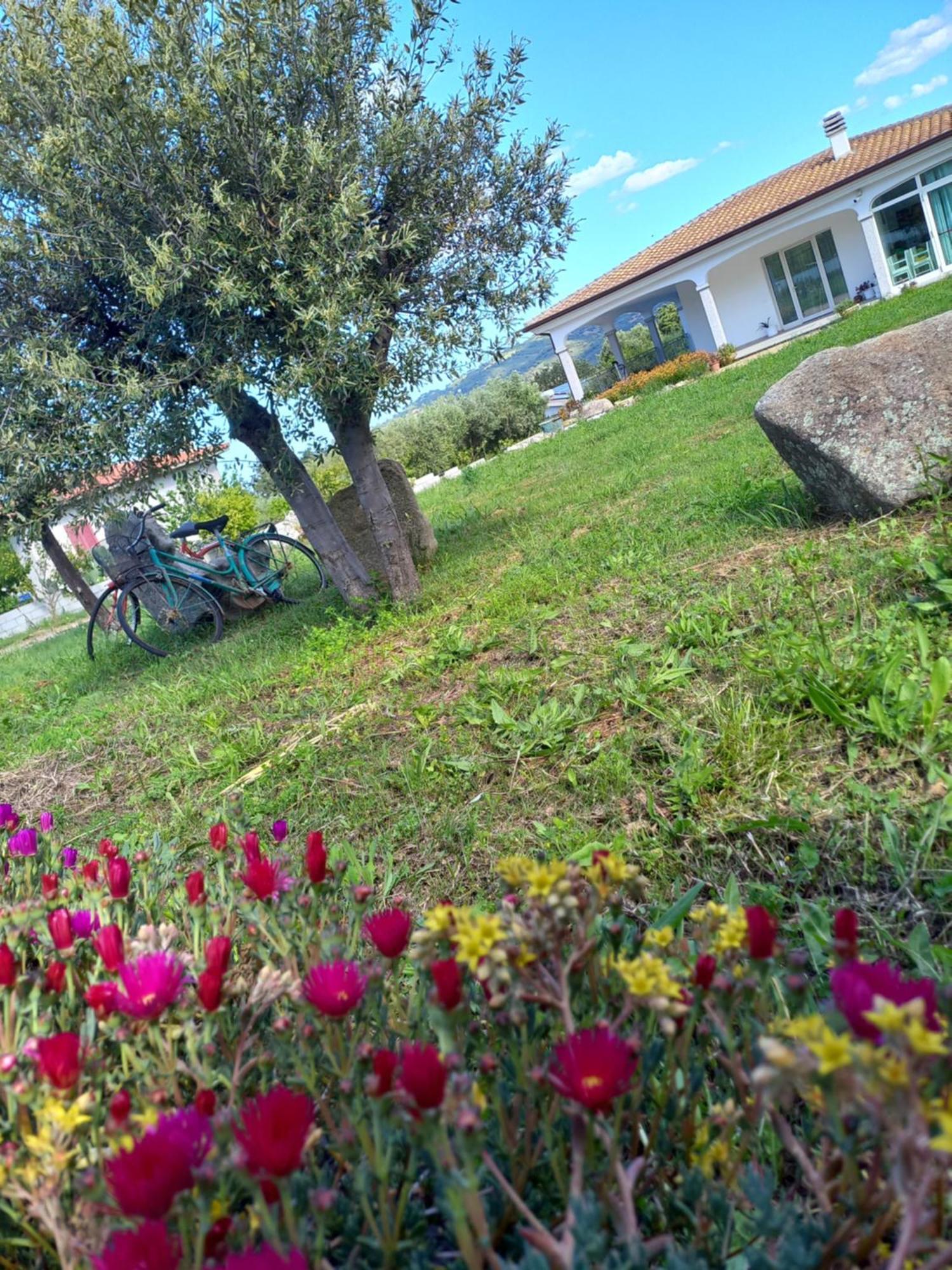 Agriturismo B&B Mares E Montes De Marrante Siniscola Bagian luar foto